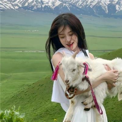 无头家族